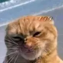 Çıkartma