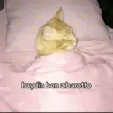 ملصق