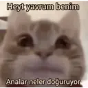 Çıkartma