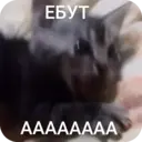 Çıkartma