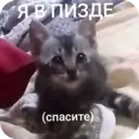 Çıkartma