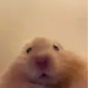 ملصق