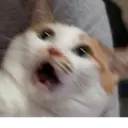 ملصق