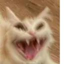 ملصق