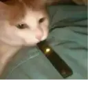 ملصق