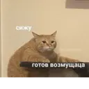 ملصق