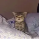 ملصق