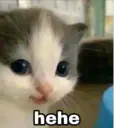 ملصق