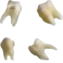 Çıkartma
