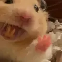ملصق