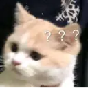 ملصق