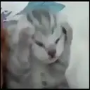ملصق
