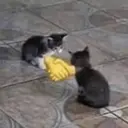 Çıkartma