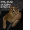 Çıkartma