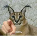 Çıkartma