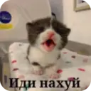 ملصق