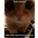 ملصق