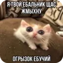 ملصق