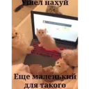ملصق