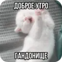 ملصق
