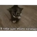 ملصق