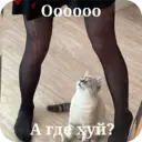 ملصق