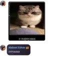 Çıkartma