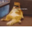 ملصق