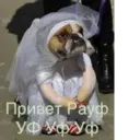 ملصق