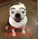 ملصق