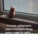 Çıkartma