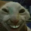 Çıkartma