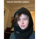 ملصق