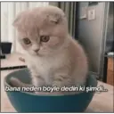 ملصق