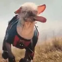 ملصق