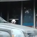 Çıkartma