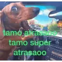 ملصق
