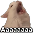 Çıkartma