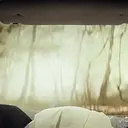 ملصق