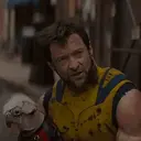 ملصق
