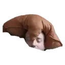 Çıkartma