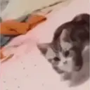 Çıkartma