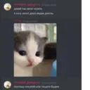 ملصق