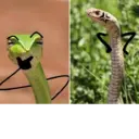 Çıkartma