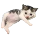 Çıkartma