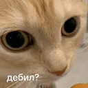 Çıkartma