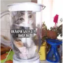 Çıkartma