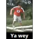 ملصق