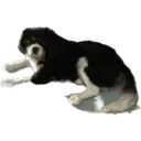 Çıkartma