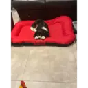 Çıkartma